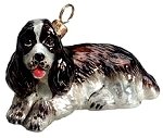 Springer Spaniel